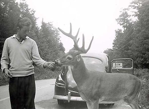 Dad in Algonquin