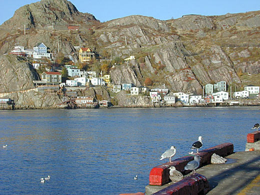 St. John's Harbour