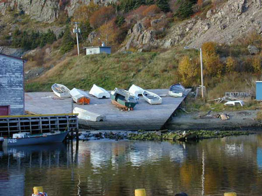 Quidi Vidi