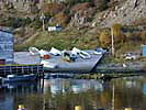 Quidi Vidi